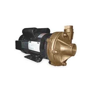Dayton Centrifugal Pump, 3 HP, 1 Ph, 230V   2ZXA7 Industrial Centrifugal Pumps