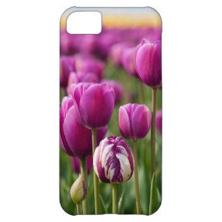 Outstanding in It's Field for iPhone 5c Case For iPhone 5C