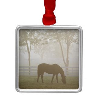 Kentucky Horse Park, Near Lexington, Kentucky. 2 Ornament