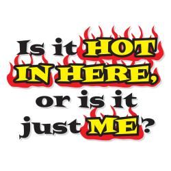 Attitude Aprons 'Is it Hot in Here?' White Apron Attitude Aprons Kitchen Aprons