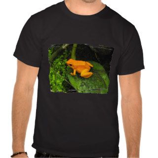 Orange Poison Dart Frog T shirts
