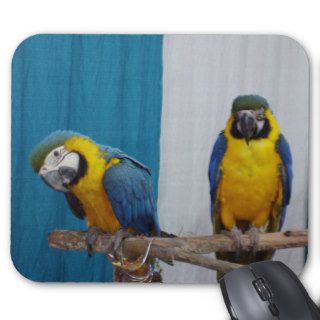 Two Blue and Gold Macaws Mousepad