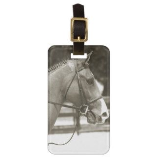 Beautiful Black and White Profile Photo of a Horse Luggage Tags