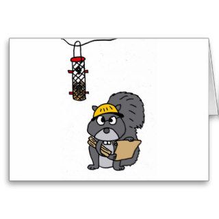 XX  Squirrel Engineer Cards