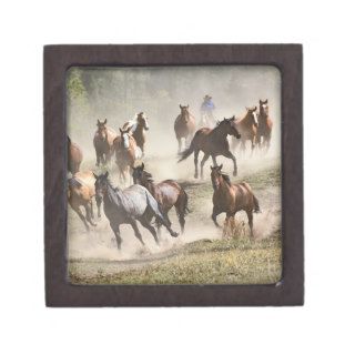 Horses running during roundup, Montana Premium Gift Boxes