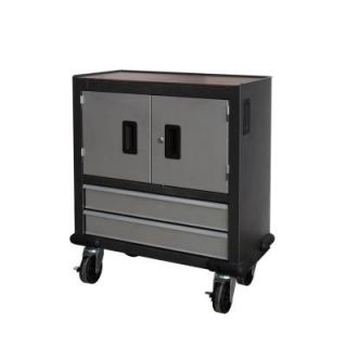 International 28 in. 2 Drawer Tool Cabinets and 2 Doors Mobile Garage Storage Cabinet GMT2DSP