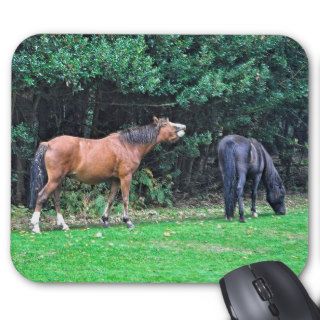 Horse lover's Beautiful Equine Animal Design Mousepad