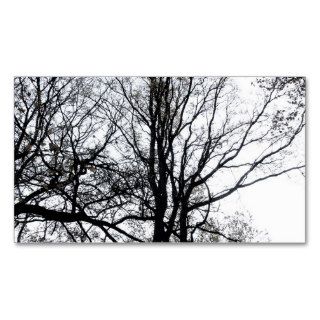 Central Park late autumn almost Barren Tree B&W Business Card Templates