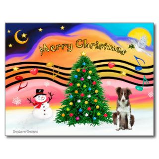 Christmas Music 2   Border Collie (brown white) Post Cards