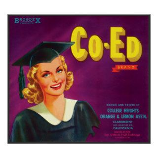 Vintage Co Ed Orange & Lemon Label Posters
