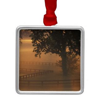 NA, USA, Kentucky. Foggy sunrise on Kentucky Christmas Tree Ornaments