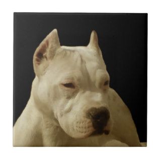 White Pitbull Terrier Tile