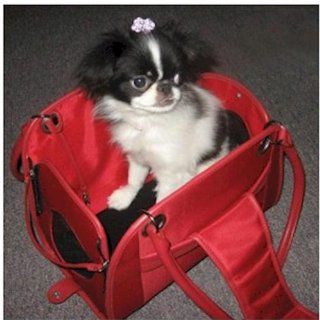Open Pet Tote   Red  Soft Sided Pet Carriers 