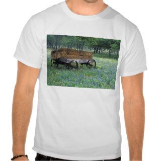 NA, USA, Texas, east of Devine, Old wagon in Shirt