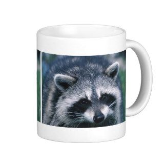 Cute Raccoon Close Up Mug