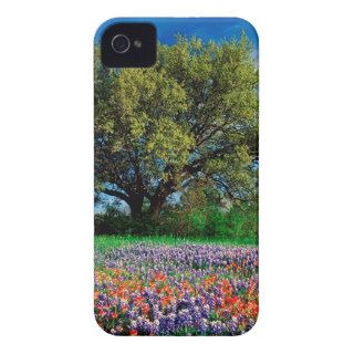 Trees Live Oak Among Texas Bluebonnets iPhone 4 Cover