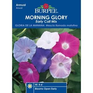 Burpee Morning Glory Early Call Mix Seed 36766