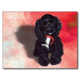 Black Cocker Spaniel Puppy   Abby Postcard