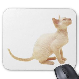 Devon Rex Lilac Point Cat Mousepads