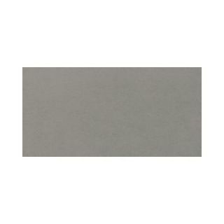 Daltile Plaza Nova Gray Fog 12 in. x 24 in. Porcelain Floor and Wall Tile (9.68 sq. ft. / case) PN9812241P