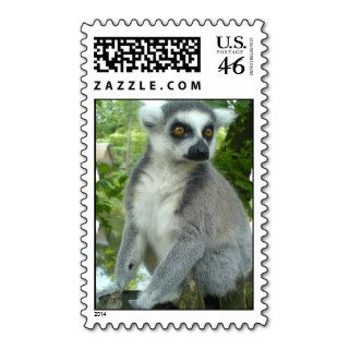 Madagascar Lemur Postage Stamp