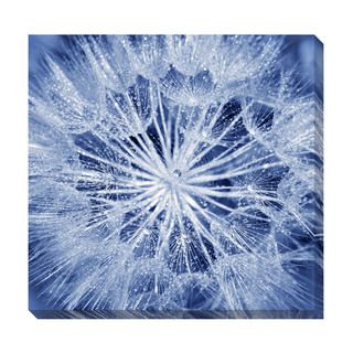 Dandelion Oversized Gallery Wrapped Canvas Canvas