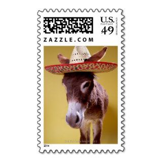 Donkey (Equus hemonius) wearing straw hat Postage
