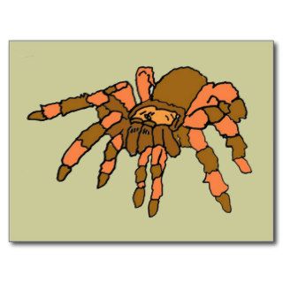 XX  Hilarious Tarantula Spider Postcards