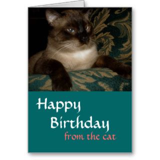 Siamese Cat Birthday Card