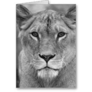 Lioness Queen (queen of hundred animals   female l Greeting Cards