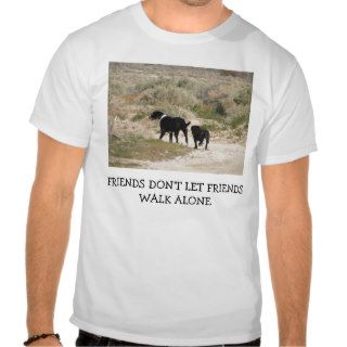 Friends Don't Let Friends Walk Alone T Shirt