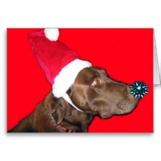 Merry Dogmas Cards