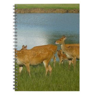 Deer Animal Nature Peace Love Destiny Fun Art Spiral Note Book