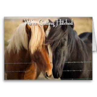 We're Getting Hitched (Two Horses) Greeting Cards