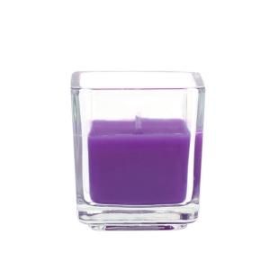 Zest Candle 2 in. Purple Square Glass Votive Candles (12 Box) CVZ 043