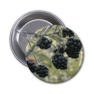 Wild Blackberries Pins