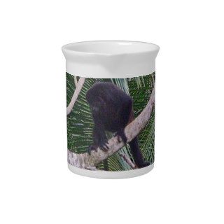 Howler Monkey and Baby Monkey in Costa Rica Jungle Pitcher