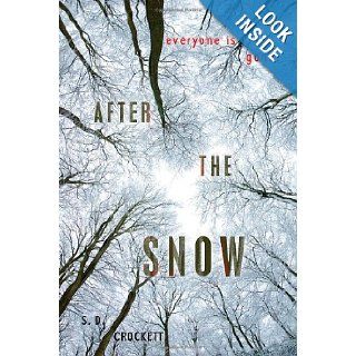 After the Snow S. D. Crockett 9780312641696 Books