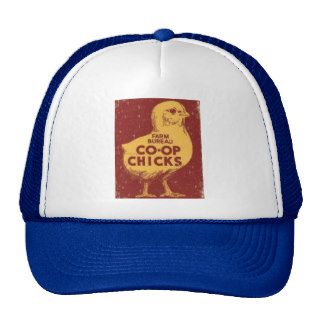 Farm Bureau Co Op Chicks Hat