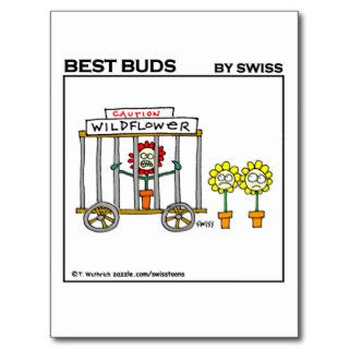 Funny Wildflower Gardening Cartoon Postcard Post Cards