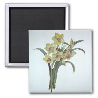 Lent Lily Magnet