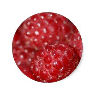 Red Raspberries close up photograph Round Stickers