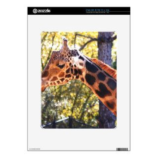 Baringo Giraffe Skin For The iPad