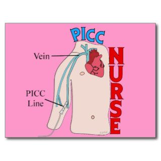 PICC Line Nurse Anatomical  Design Gifts Postcards