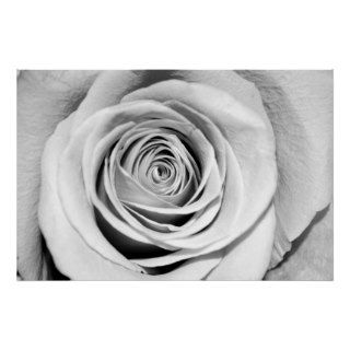 Black and White Rose Print