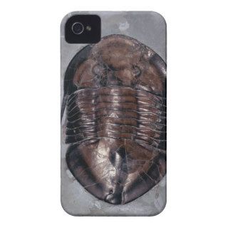 Ordovician Isotelus Gigas Trilobite Fossil Case Mate iPhone 4 Cases