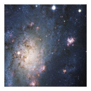 Intermediate Spiral Galaxy NGC 2403 Caldwell 7 Photograph