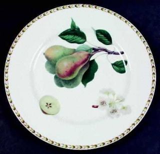Rosina Queens HookerS Fruit(Fine China,Made In India) Dinner Plate, Fine China
