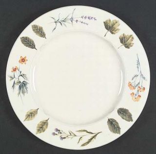 Mikasa Natures Harmony (Wildflowers) Dinner Plate, Fine China Dinnerware   Wildf