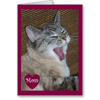 Got Your Attention Mother's Day Card   Funny Cat
